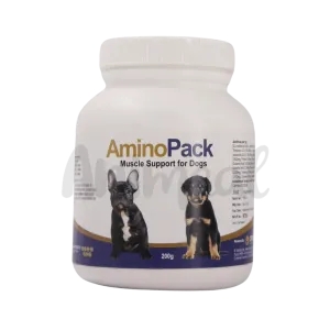 AMINOPACK  POWDER