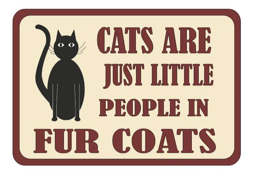 Cats Are Just Little People With Fur Coats