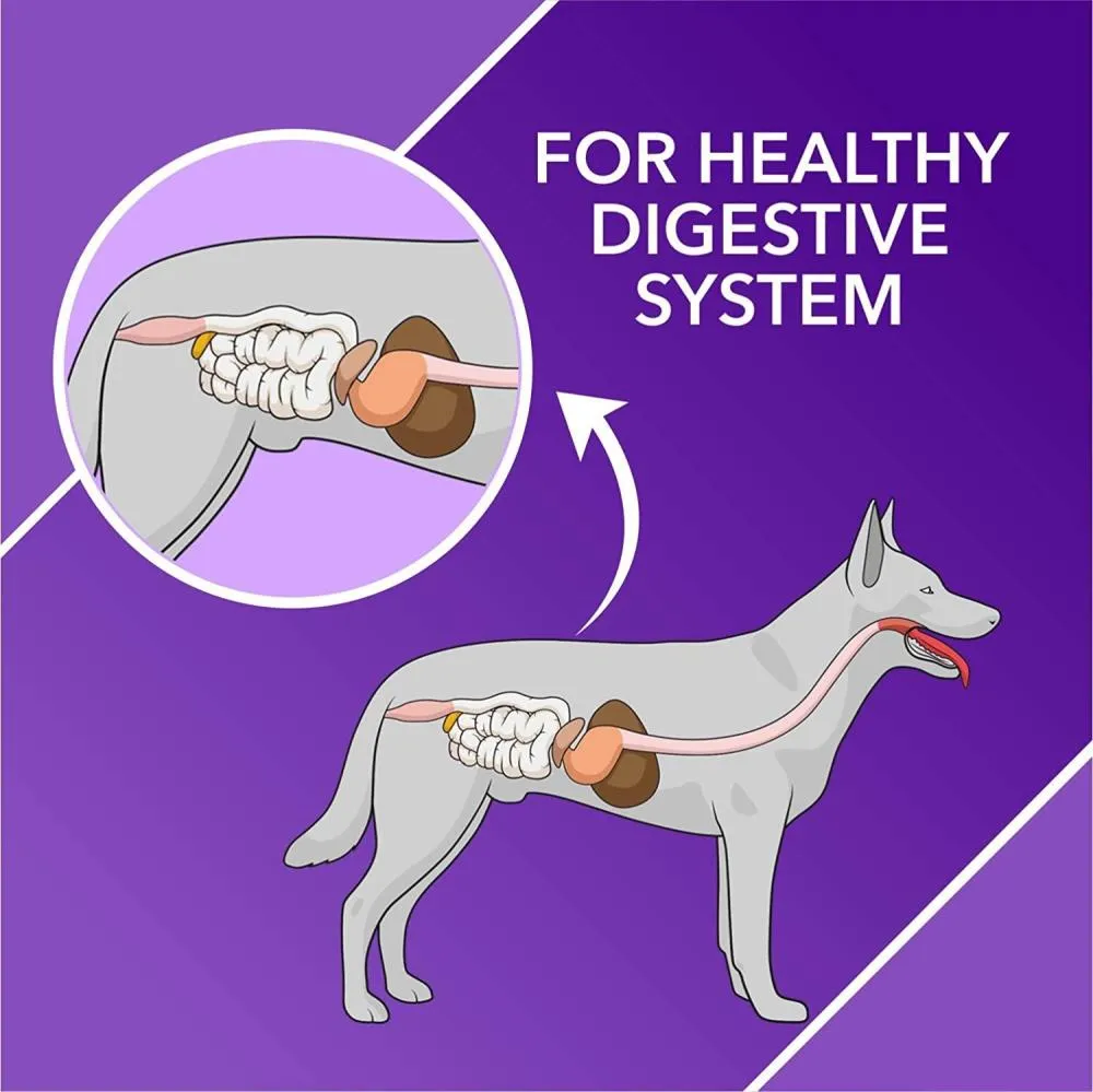 Drools Absolute Mobility Tablet for dogs