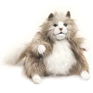 Fluffy Cat