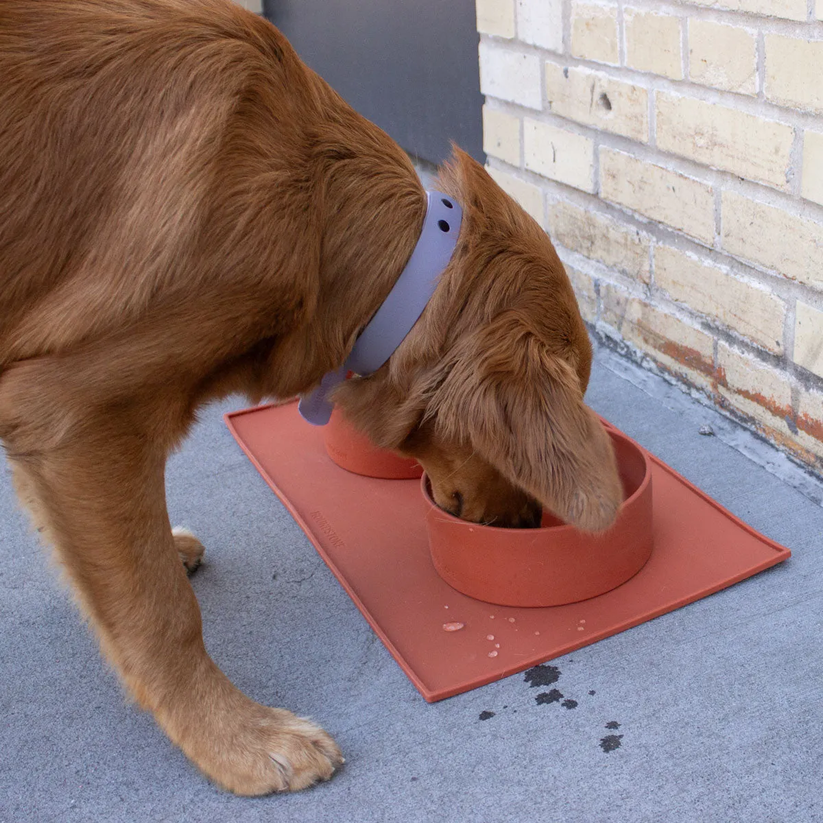 Food Grade Silicone Dog Bowl - Olive, 4.5 Cups Volume, Dishwasher Safe, Non-Slip