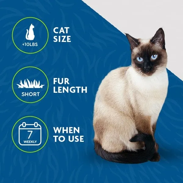 FURminator deShedding Tool Small Cat Short Hair