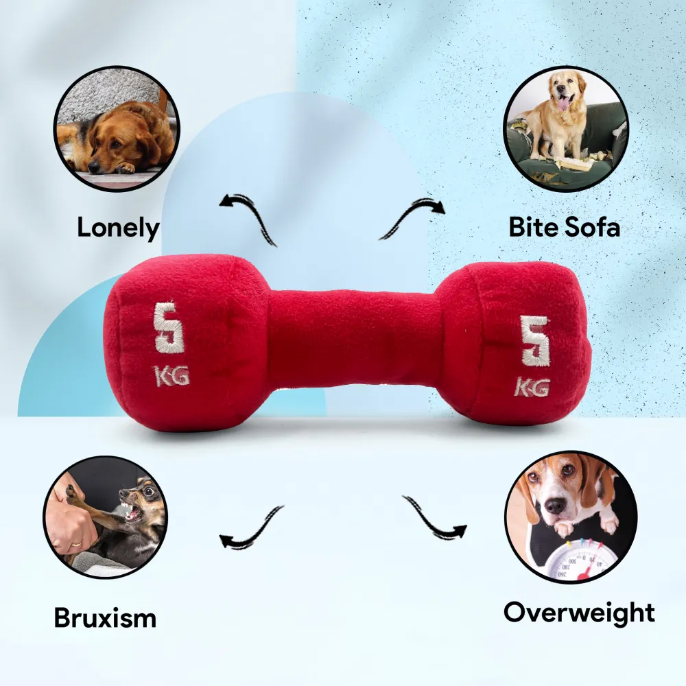Goofy Tails Gym Series Dumbbell Plush Toy for Dogs (Red)
