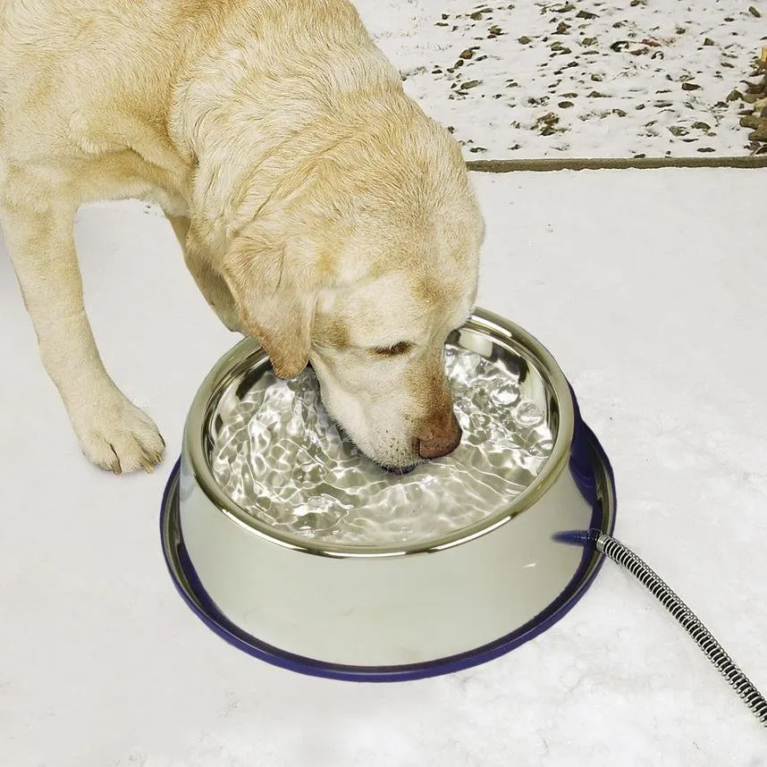 K&H Heated Thermal Bowl
