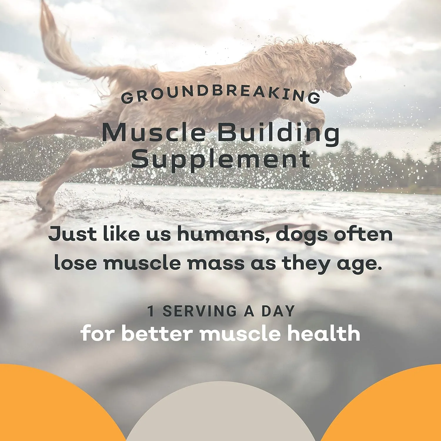 MYOS Canine Muscle Formula Dog Supplement
