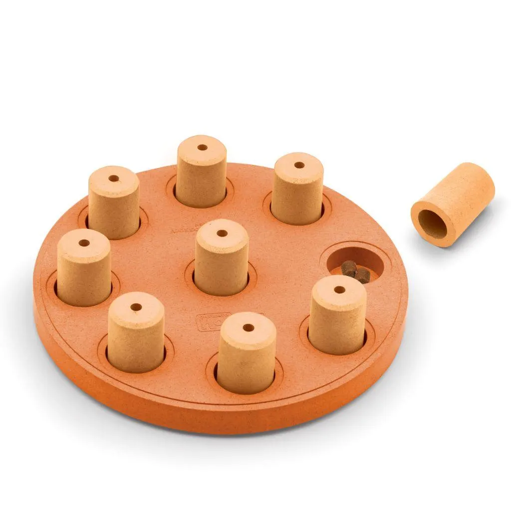 Outward Hound Dog Smart Puzzle