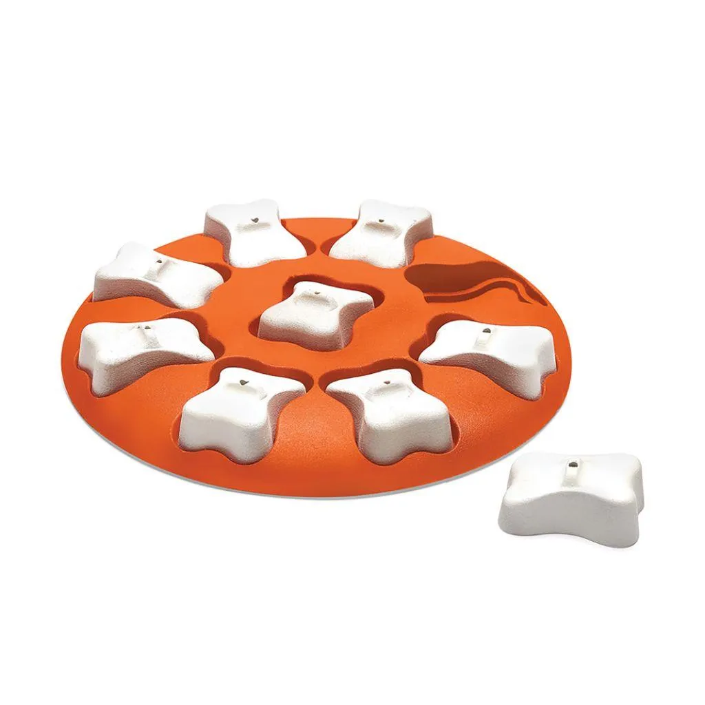 Outward Hound Dog Smart Puzzle