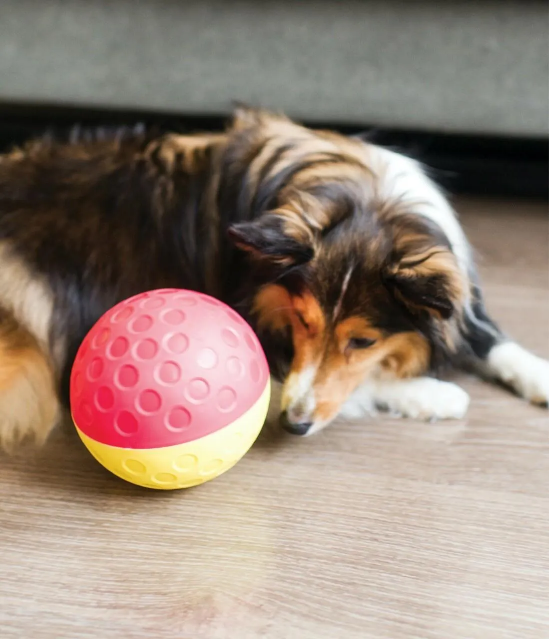 Outward Hound Treat Tumble Puzzle Toy Large