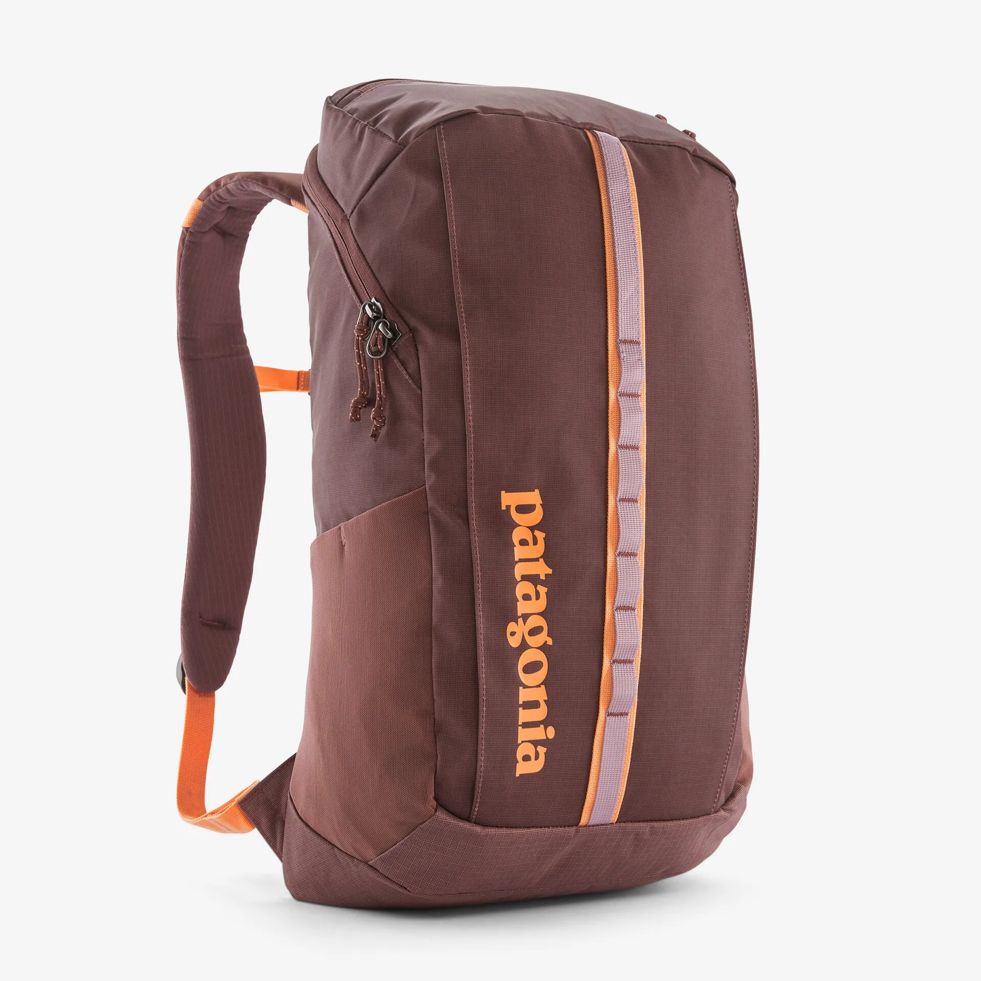 Patagonia Black Hole 25L Pack