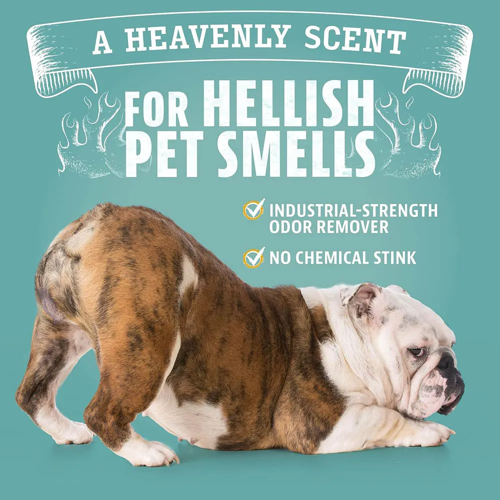 Pet Odor Eliminator Gallon Refill 2 Pack