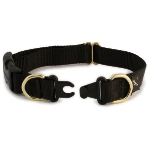 PetSafe - KeepSafe Break-Away Collar - Black