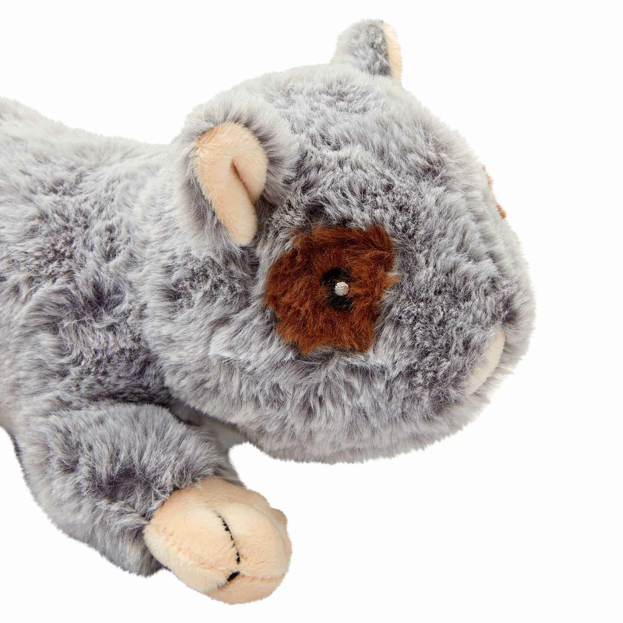 Petstock Foundation Australian Native Plush Toy Possum