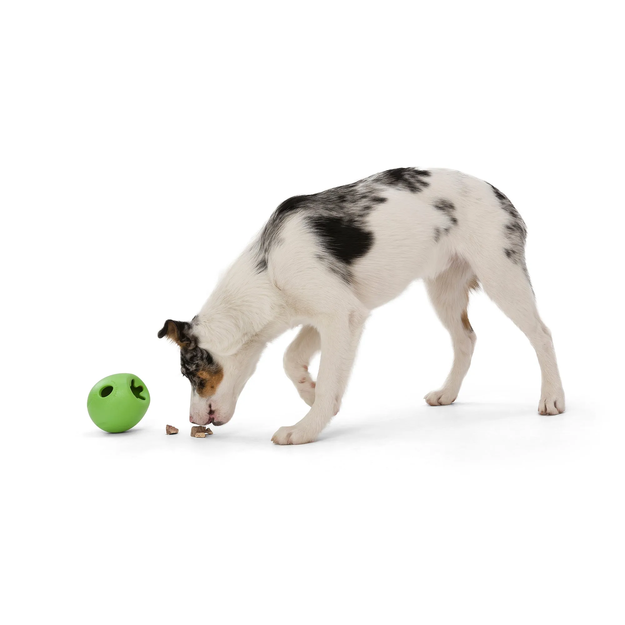 Rumbl® by WestPaw