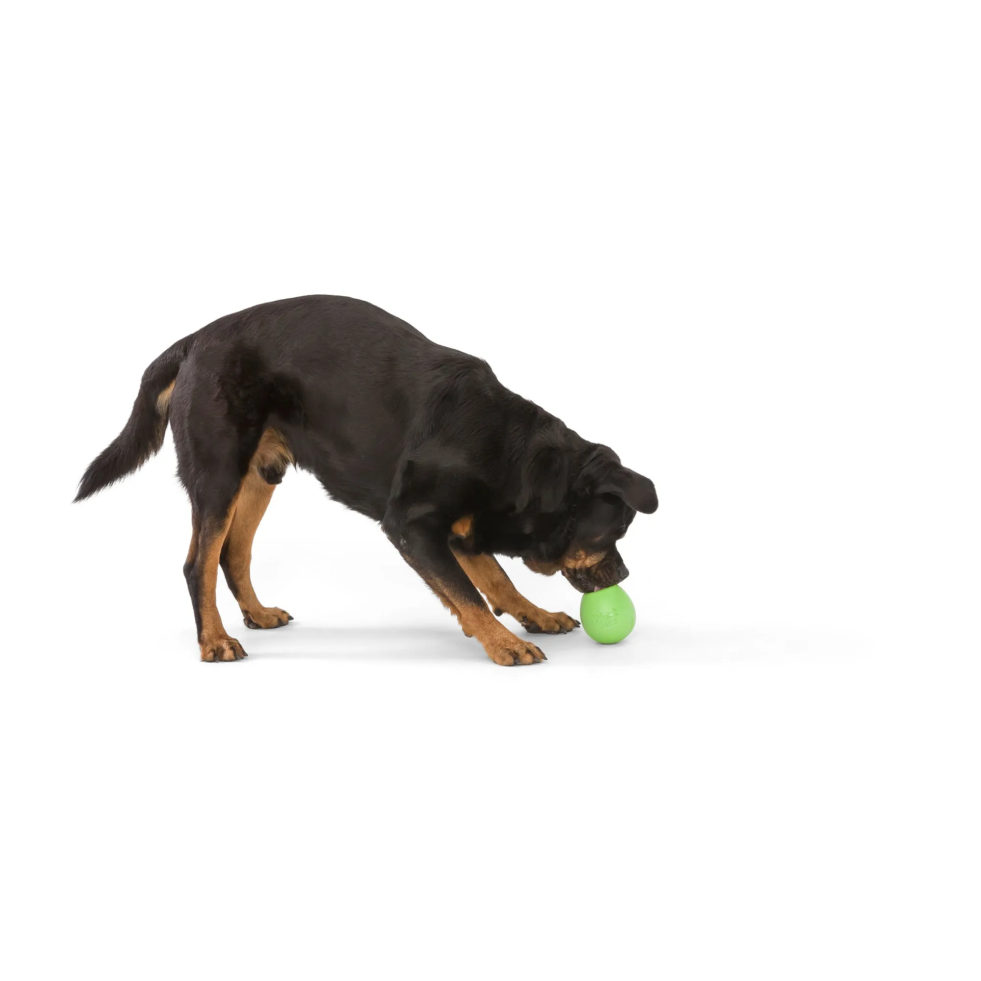 Rumbl® by WestPaw