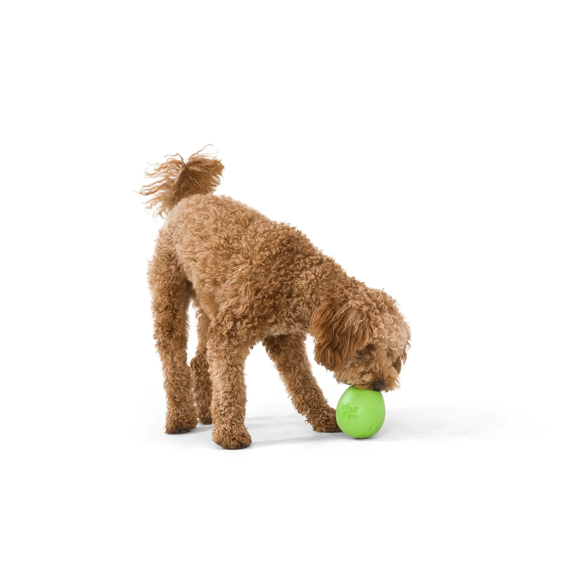 Rumbl® by WestPaw