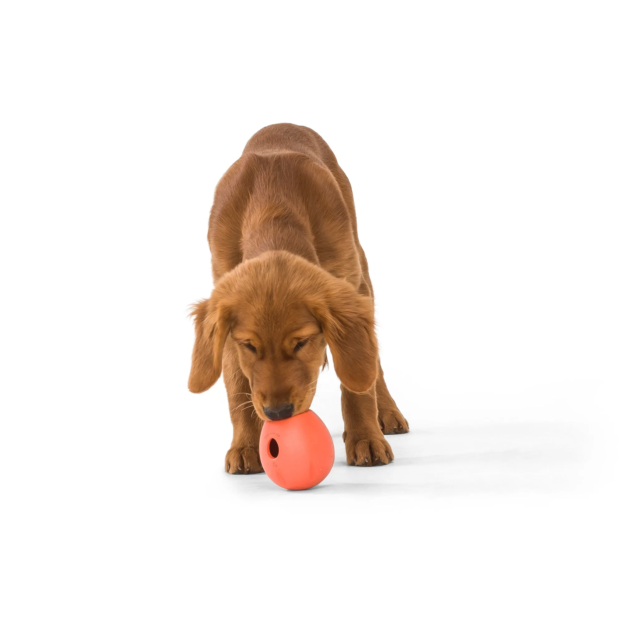 Rumbl® by WestPaw