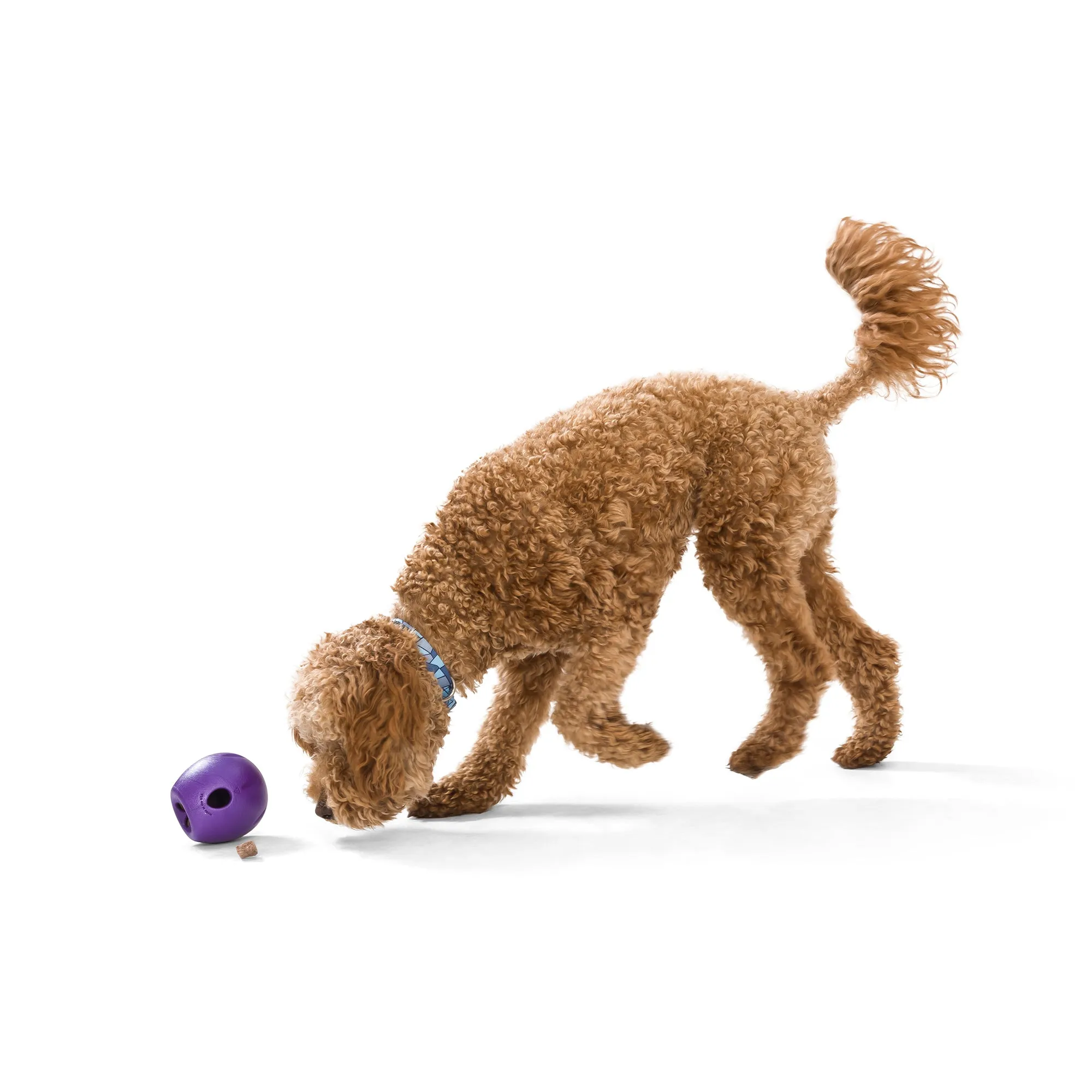 Rumbl® by WestPaw