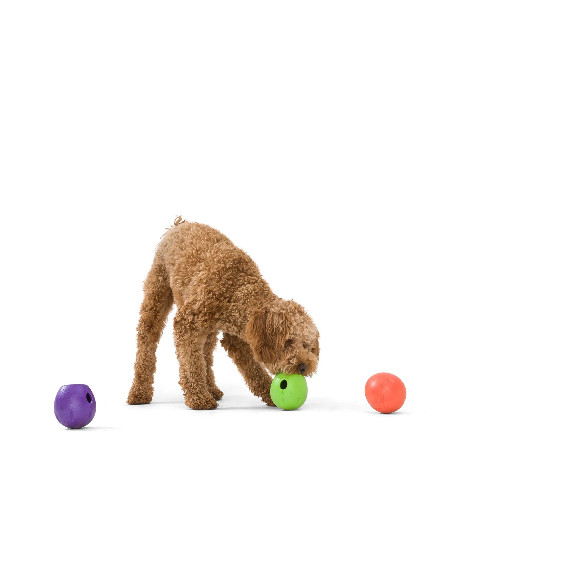 Rumbl® by WestPaw