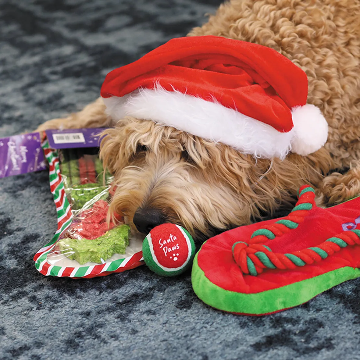 Santa Paws Bounce Dog Ball