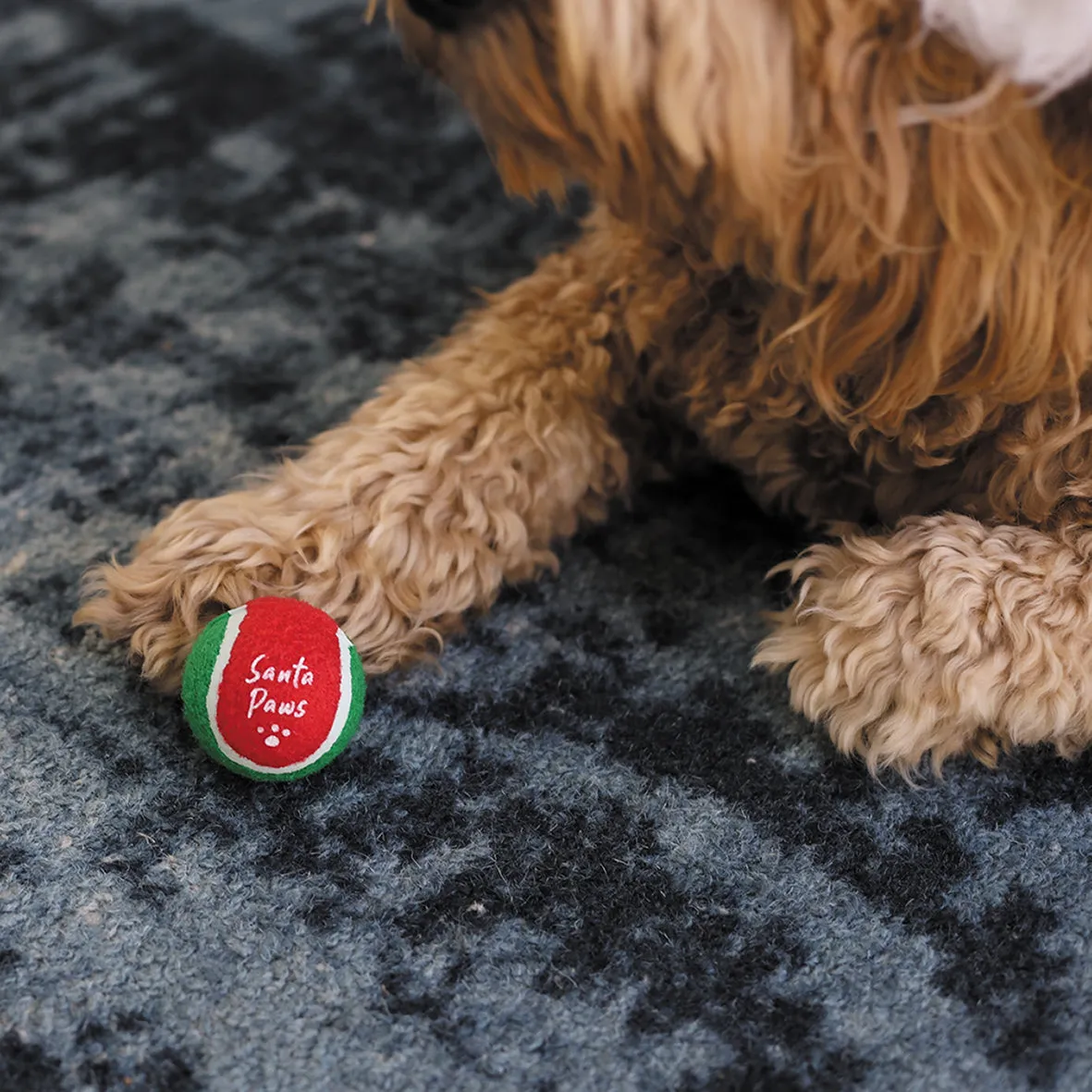 Santa Paws Bounce Dog Ball