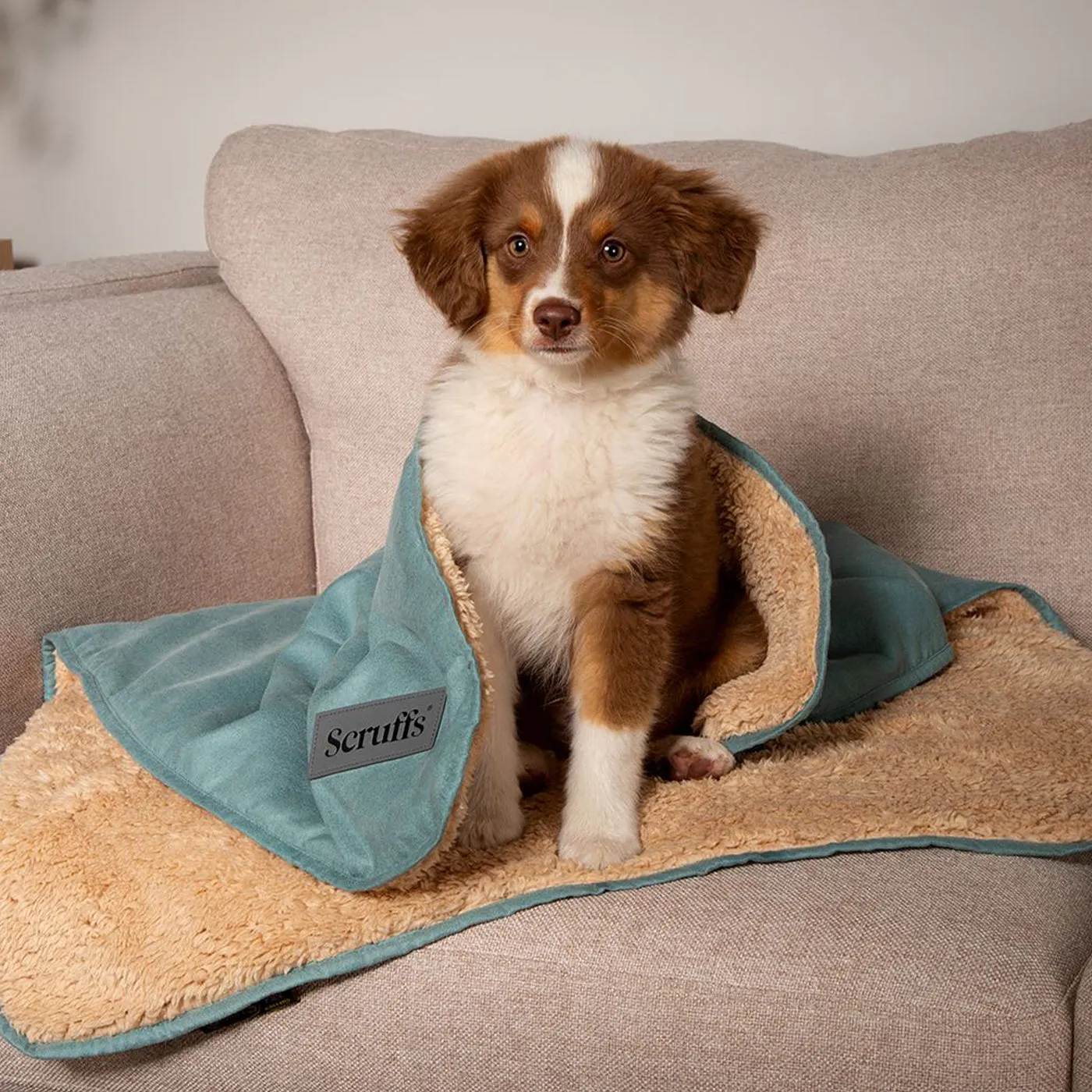 Scruffs Snuggle Blanket - Sage Green